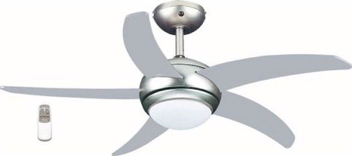 Anemistiras Orofis Primo PRCF-80425 Asimi